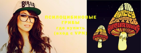 таблы Белокуриха