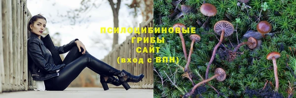 ALPHA PVP Беломорск