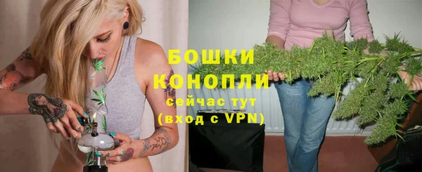 ALPHA PVP Беломорск