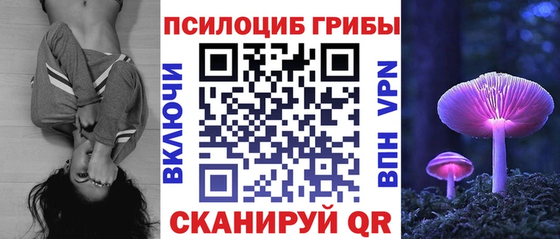 Псилоцибиновые грибы ЛСД  сколько стоит  Будённовск 