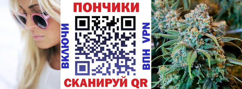 где купить наркоту  Будённовск  Бошки Шишки гибрид 